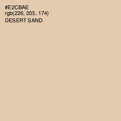 #E2CBAE - Desert Sand Color Image